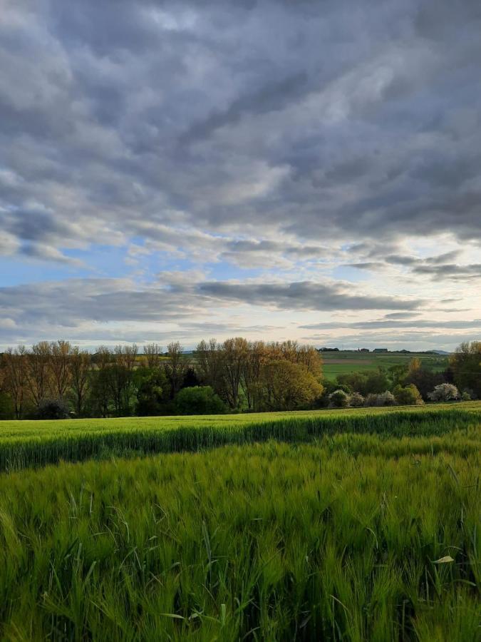 Ferienwohnung In Fuldatal Bei Kassel Esterno foto